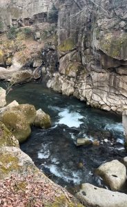 青いけれど淡さを感じる川