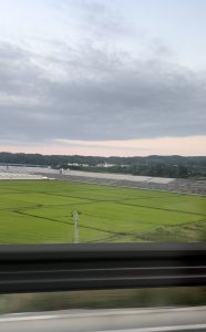 ふわふわした風景